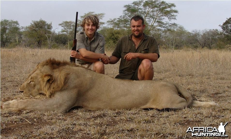 Free roaming Lion hunted in Mozambique