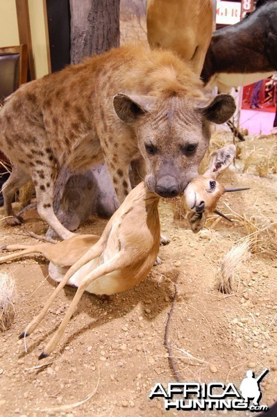 Taxidermy at Safari Club International Convention