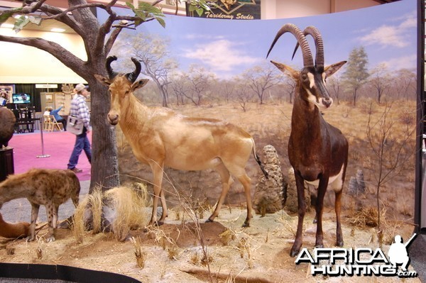 Taxidermy at Safari Club International Convention