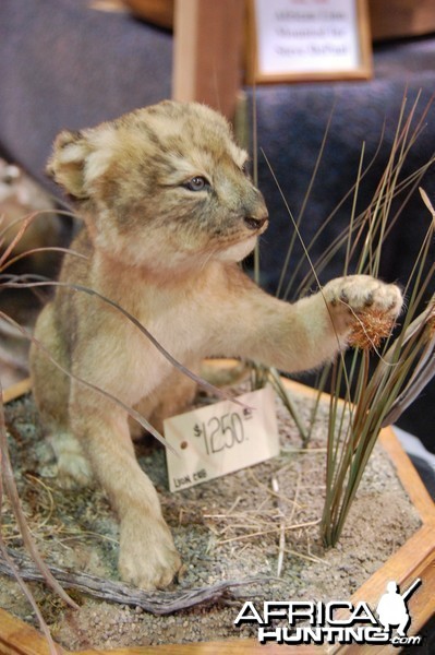 Taxidermy at Safari Club International Convention