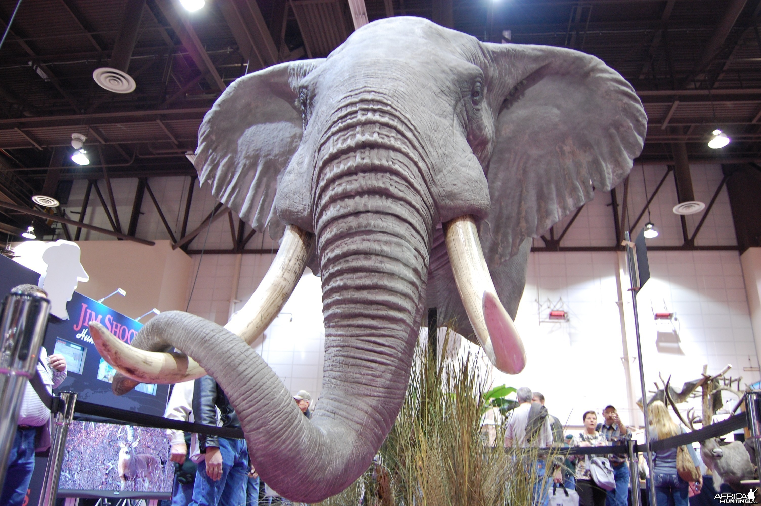 Taxidermy at Safari Club International Convention
