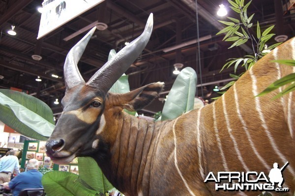 Taxidermy at Safari Club International Convention