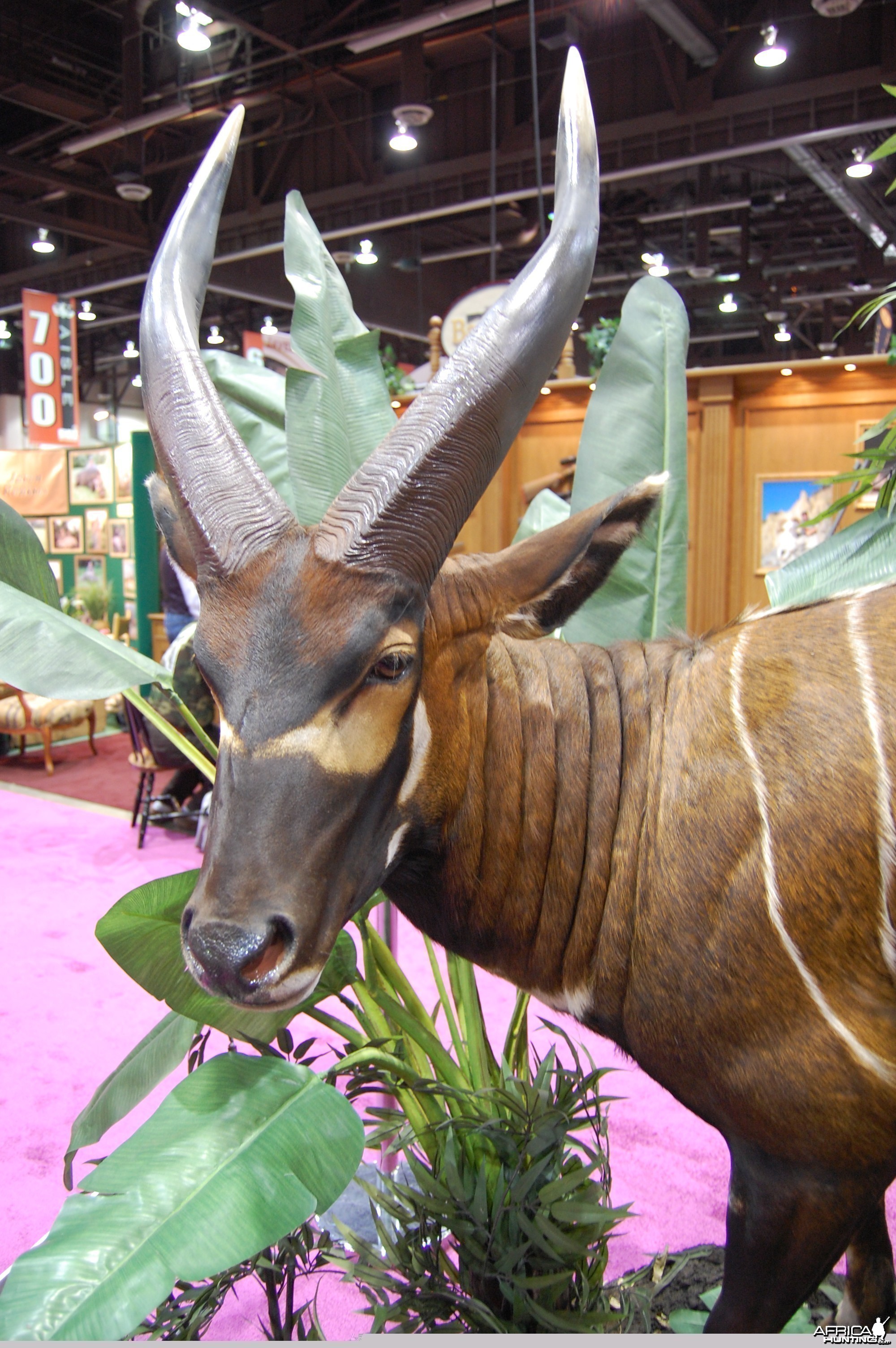 Taxidermy at Safari Club International Convention