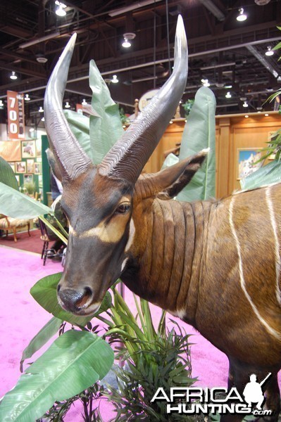 Taxidermy at Safari Club International Convention