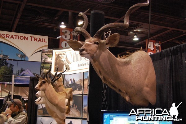 Taxidermy at Safari Club International Convention