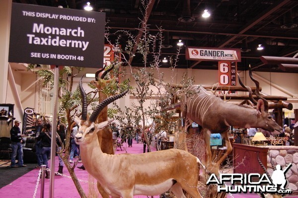 Taxidermy at Safari Club International Convention