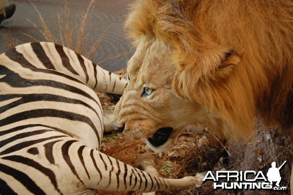 Taxidermy at Safari Club International Convention