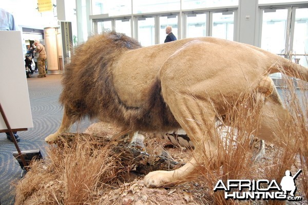 Taxidermy at Safari Club International Convention