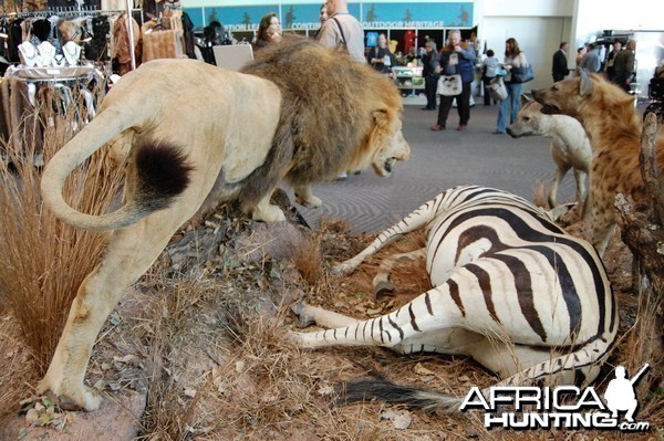 Taxidermy at Safari Club International Convention