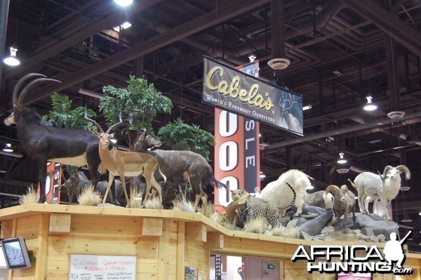 Taxidermy at Safari Club International Convention