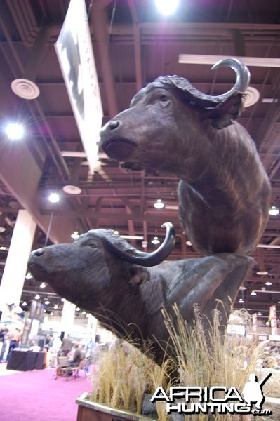 Taxidermy at Safari Club International Convention