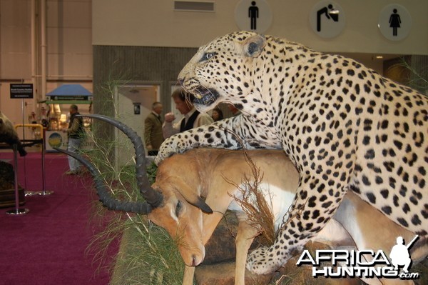 Taxidermy at Safari Club International Convention