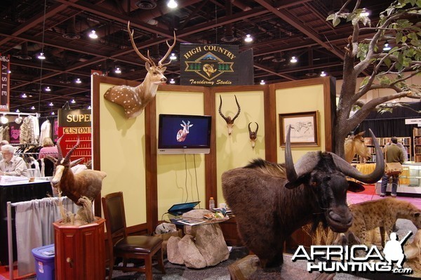 Taxidermy at Safari Club International Convention