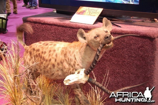 Taxidermy at Safari Club International Convention