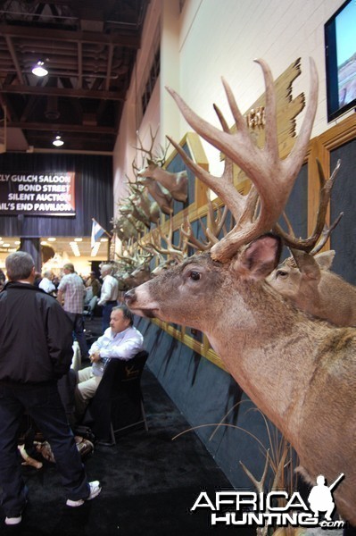 Taxidermy at Safari Club International Convention