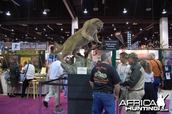 Taxidermy at Safari Club International Convention