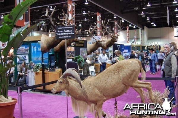 Taxidermy at Safari Club International Convention