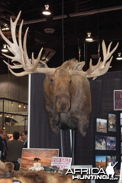 Taxidermy at Safari Club International Convention