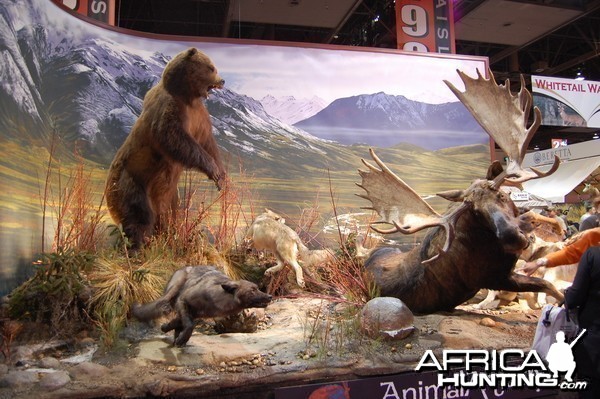 Taxidermy at Safari Club International Convention