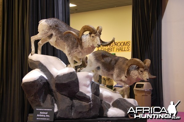 Taxidermy at Safari Club International Convention