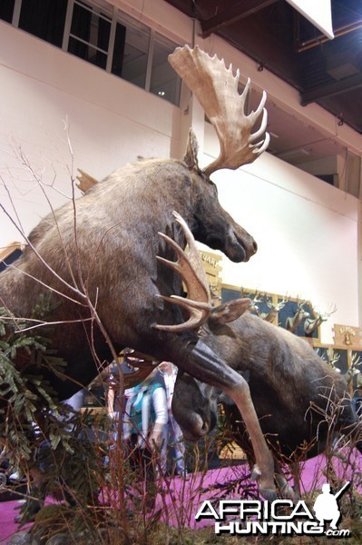 Taxidermy at Safari Club International Convention