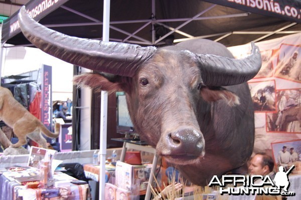 Taxidermy at Safari Club International Convention