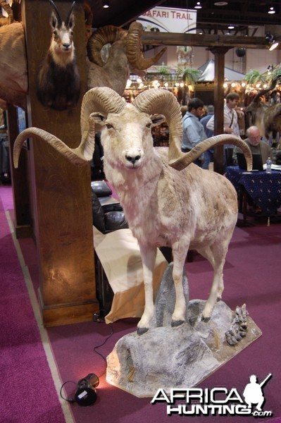 Taxidermy at Safari Club International Convention