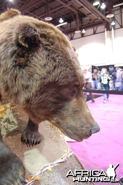 Taxidermy at Safari Club International Convention