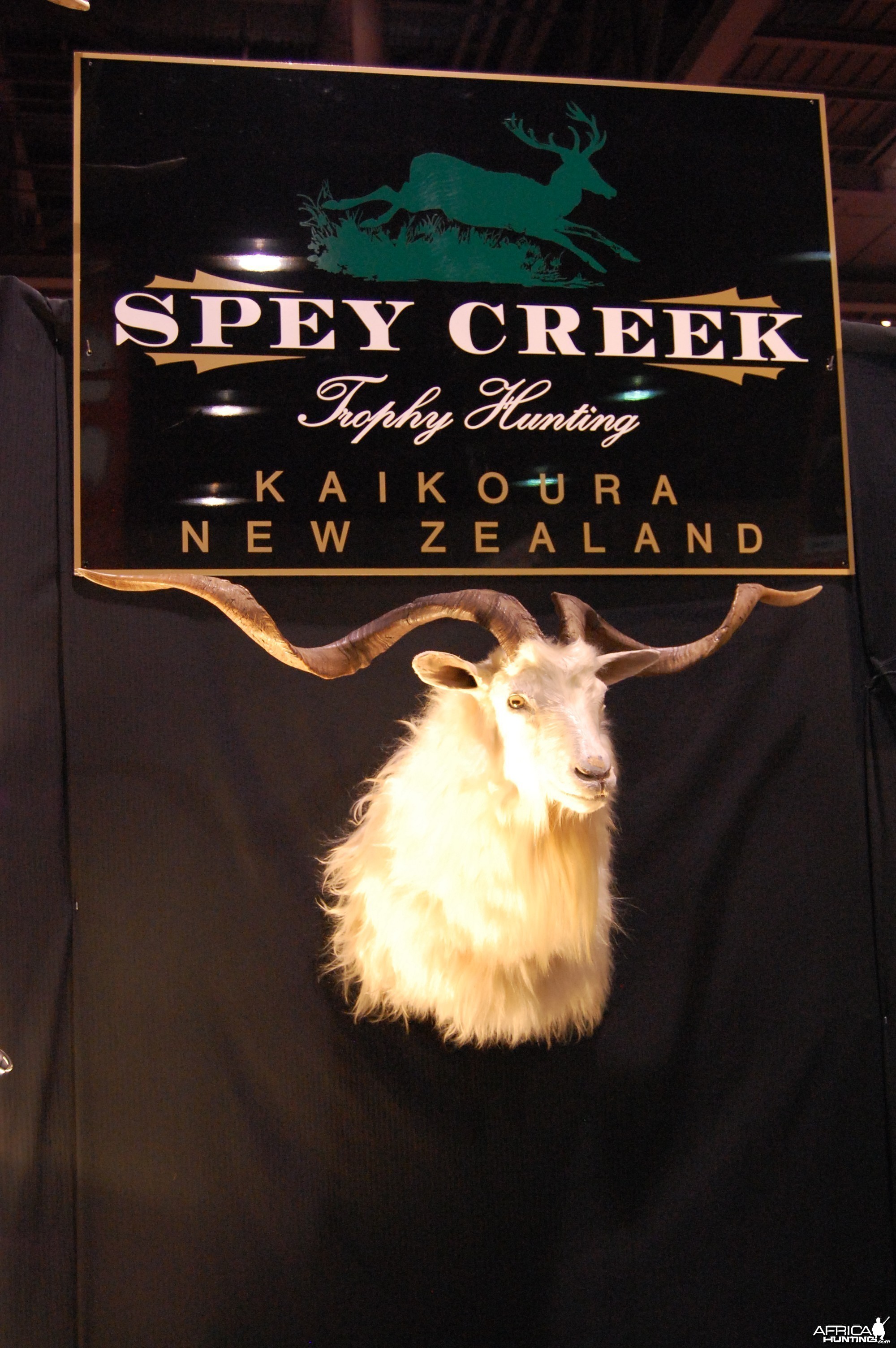 Taxidermy at Safari Club International Convention