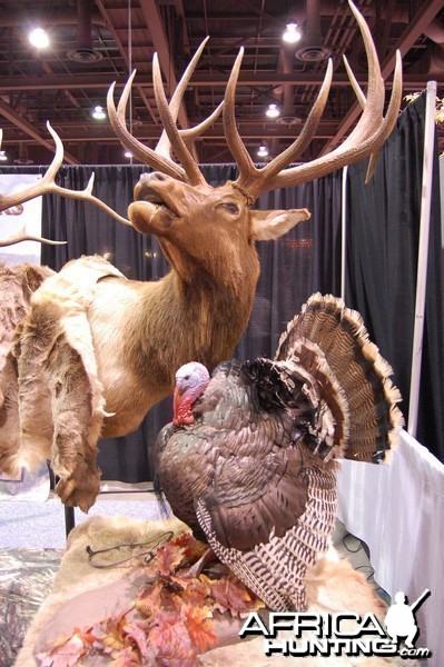 Taxidermy at Safari Club International Convention