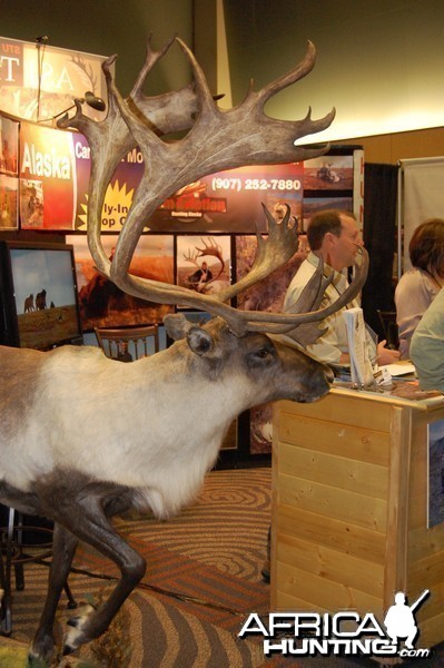 Taxidermy at Safari Club International Convention