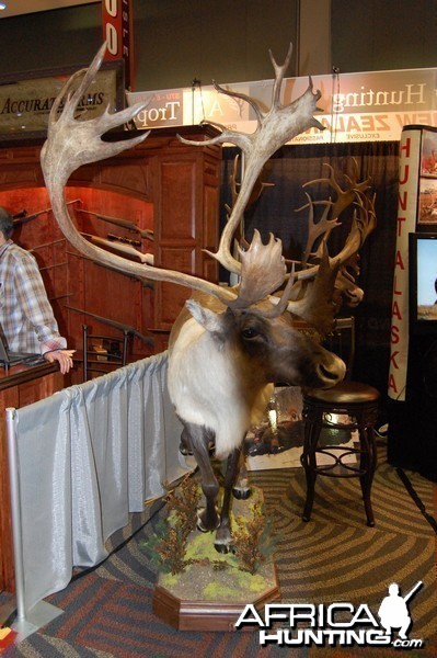 Taxidermy at Safari Club International Convention