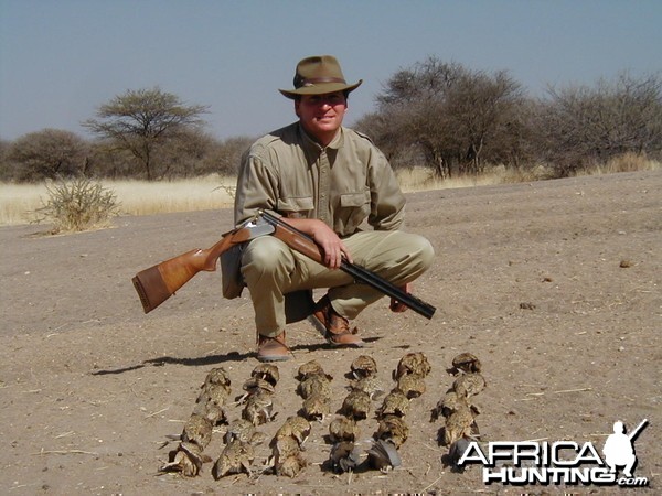 Sand Grouse &amp; Dove Hunting in Namibia