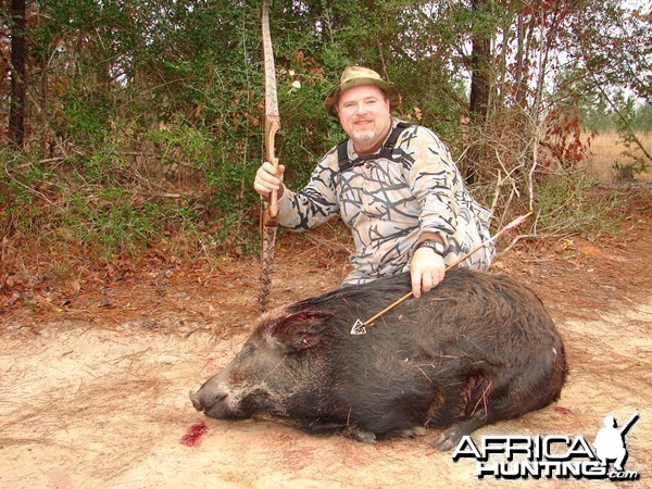 Bowhunting Pig