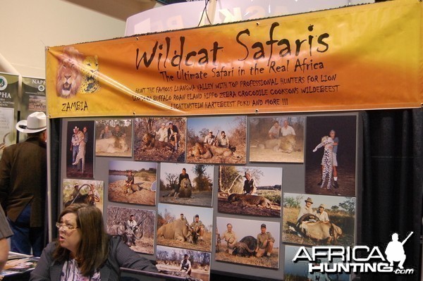 Wildcat Safaris