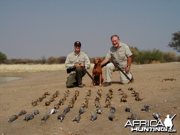 Sand Grouse &amp; Dove Hunting in Namibia