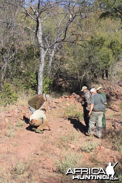 Tracking Leopard