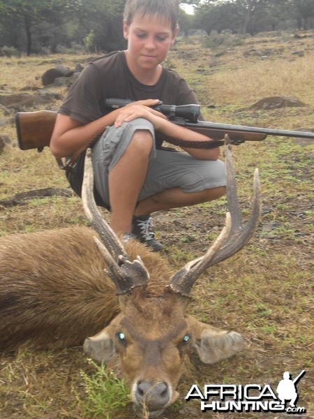 My son's atypical Rusa Deer which is what he was looking for