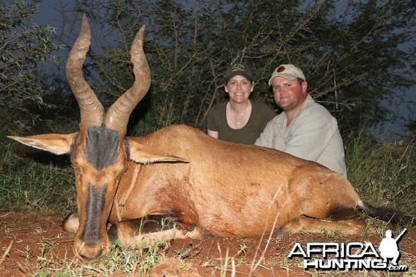 Hartebeest