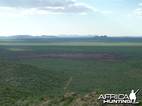 Hunting Ozondjahe in Namibia