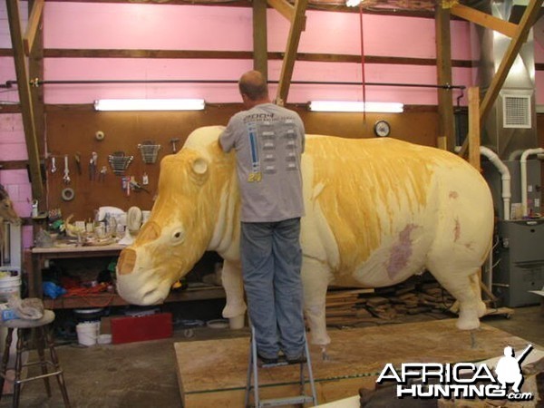 Rhino mounted by Black Creek Taxidermy