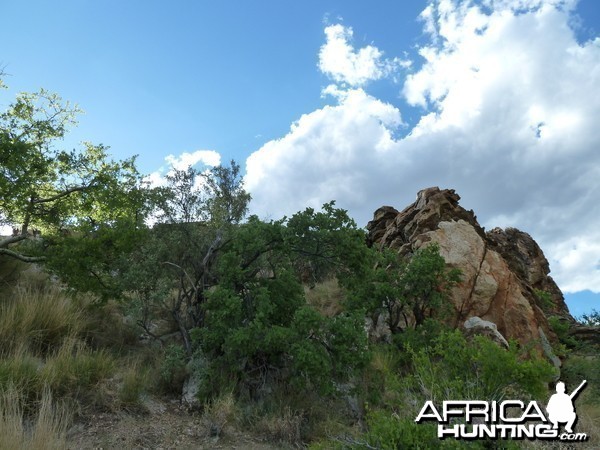 Hunting at Ozondjahe in Namibia