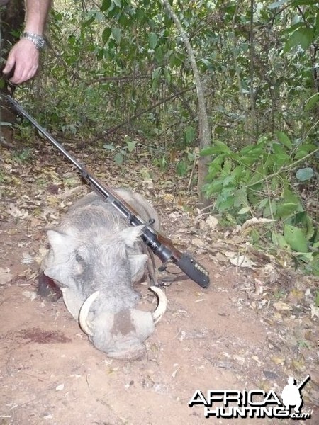 Warthog hunted with CAWA in CAR