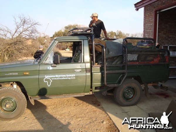 Savanna Hunting Safaris hunting trucks