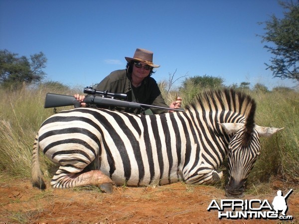 Hunting Burchell Zebra