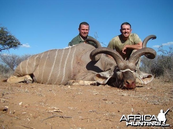 Kudu 59 3/4 inches