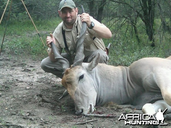 Hunting Cape Eland in Limpopo South Africa 36 1/2 inches