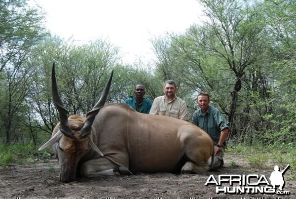 Hunting Cape Eland in Limpopo South Africa 36 1/2 inches