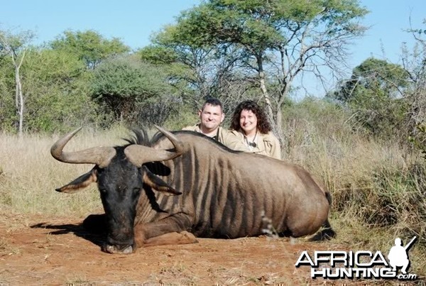 Hunting Blue Wildebeest in Limpopo South Africa