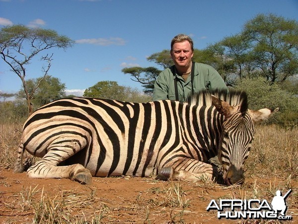 Burchell's Zebra